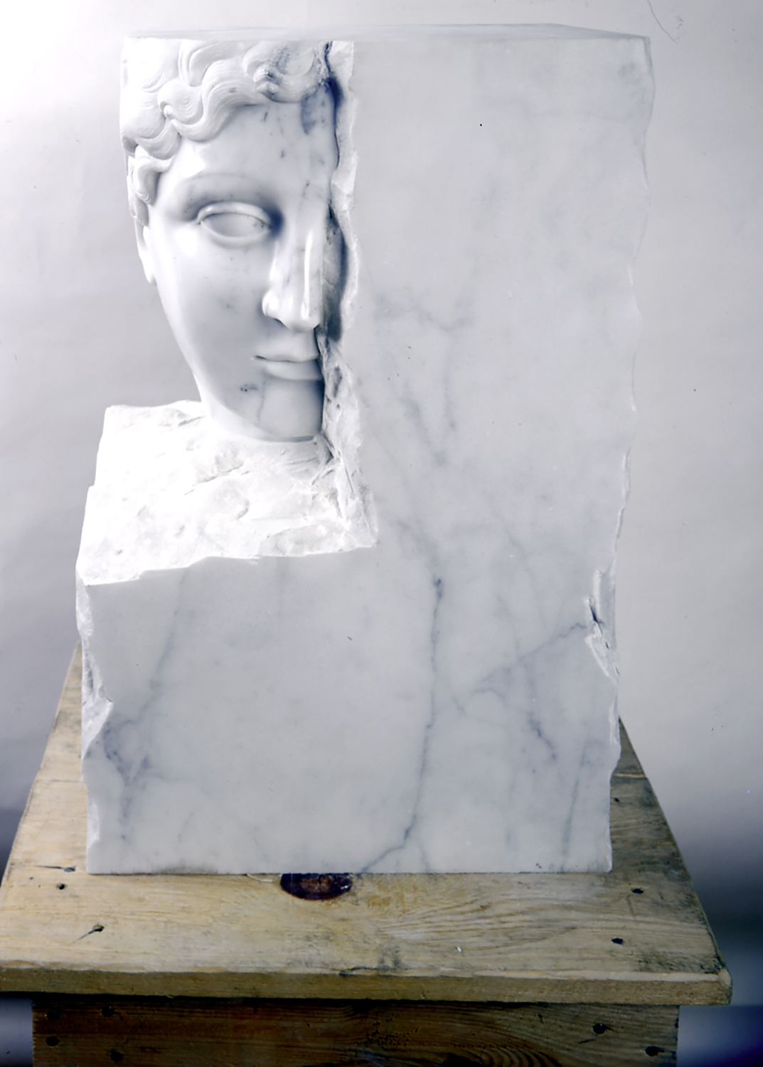 Sculpture Sacha Sosno